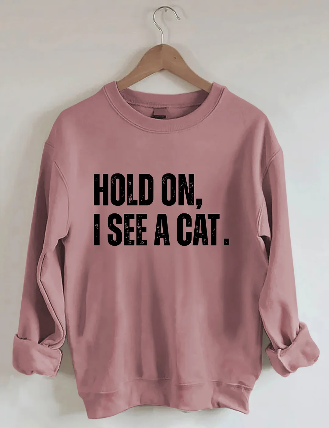 Hold On I See A Cat Sweatshirt
