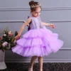 Girl Ceremonies Dress Wedding Party Birthday Gown Vestidos Tutu Dress - honeylives