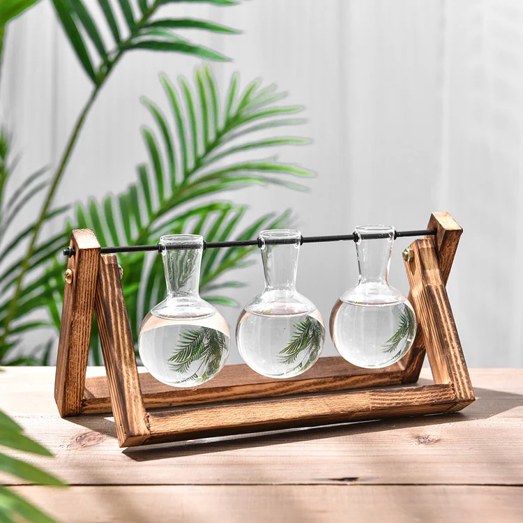 Glass Propagation Vase With A-frame Wooden Stand | AvasHome