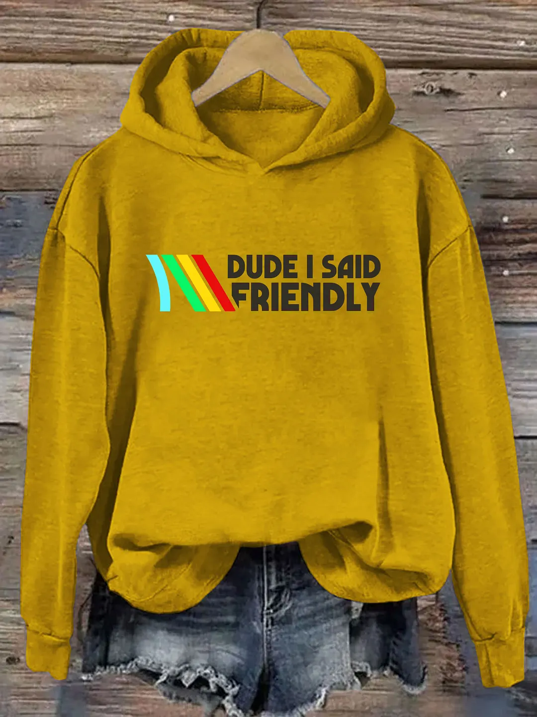 Dude I Said Friendly Hoodie