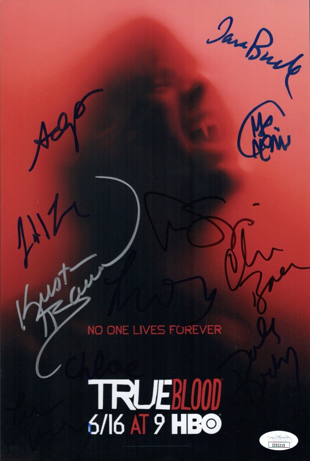 Alexander Skarsg?rd TRUE BLOOD Cast X10 Signed 8x12 Photo Poster painting Autograph JSA COA Cert