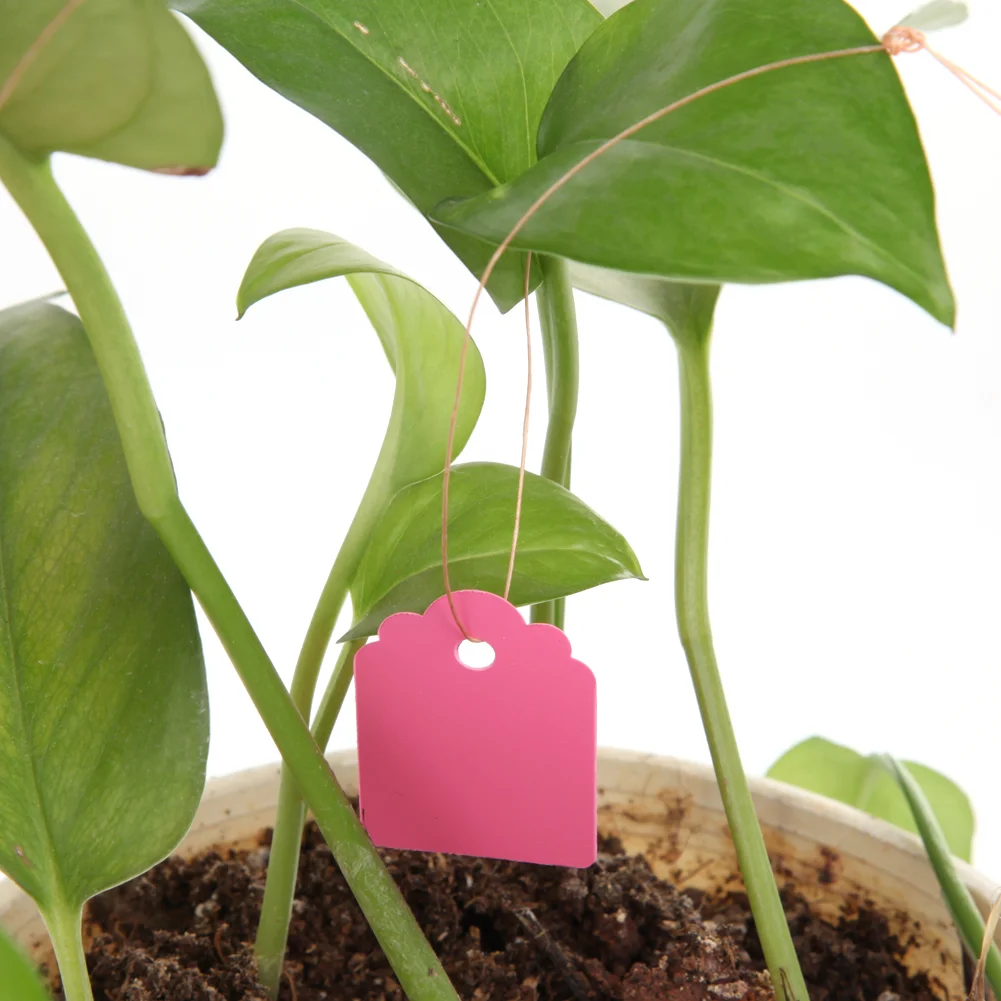 100Pcs T-type Plastic Nursery Garden Plant Label Flower Tag Mark(Pink)