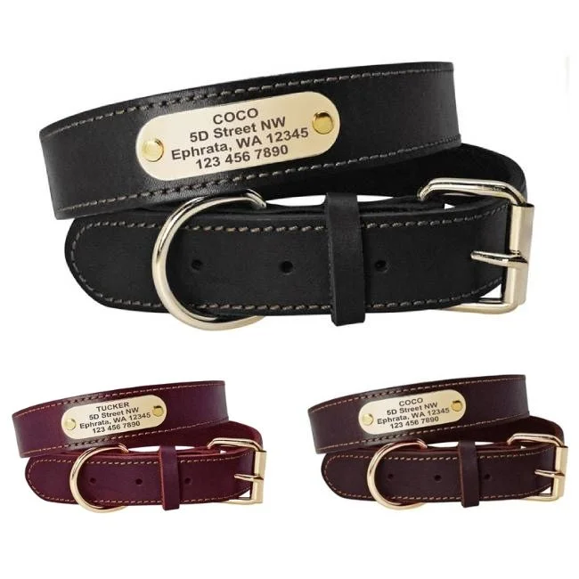 Leather Personalized Dog Collar (Pet's Name+Address+Phone Number)