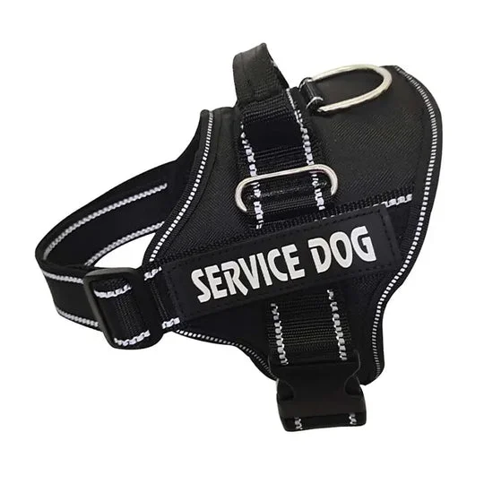 Personalized Dog Harness - Engrave Your Pet's Name