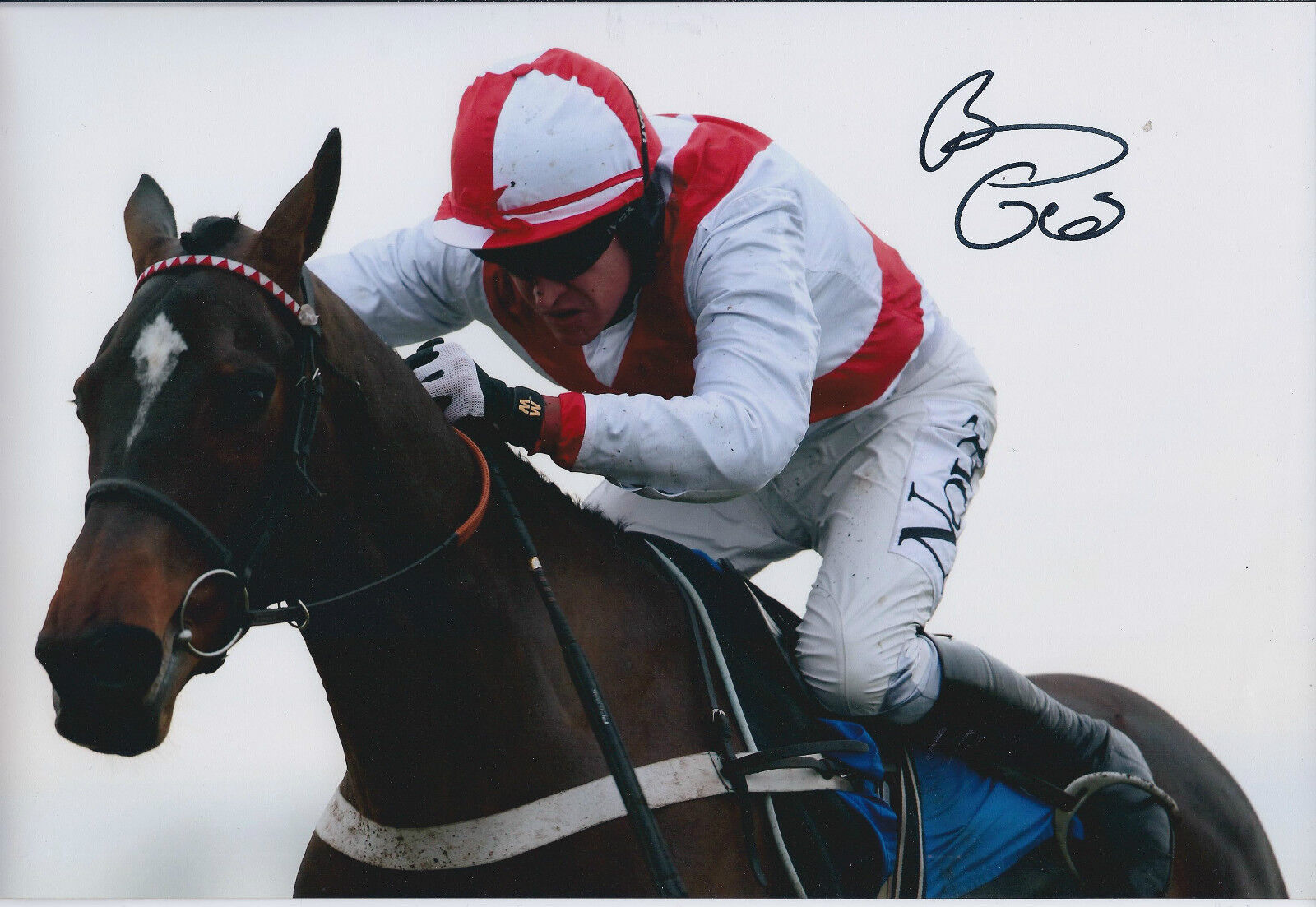 Barry GERAGHTY SIGNED Jockey Autograph 12x8 Photo Poster painting AFTAL COA Champion Hurdle