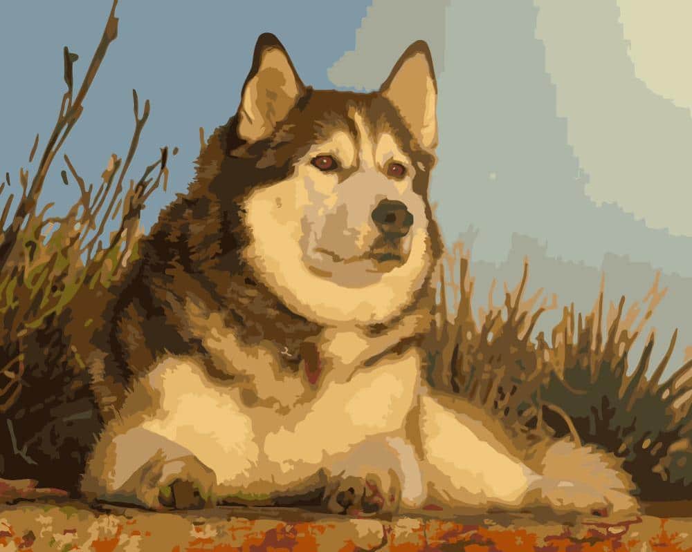 

Dog Under The Sunset – Paint By Numbers - 40*50CM, 501 Original