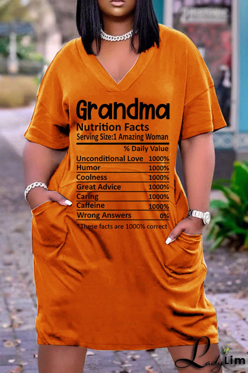 Light Blue Casual Print Basic V Neck Short Sleeve Dress Dresses