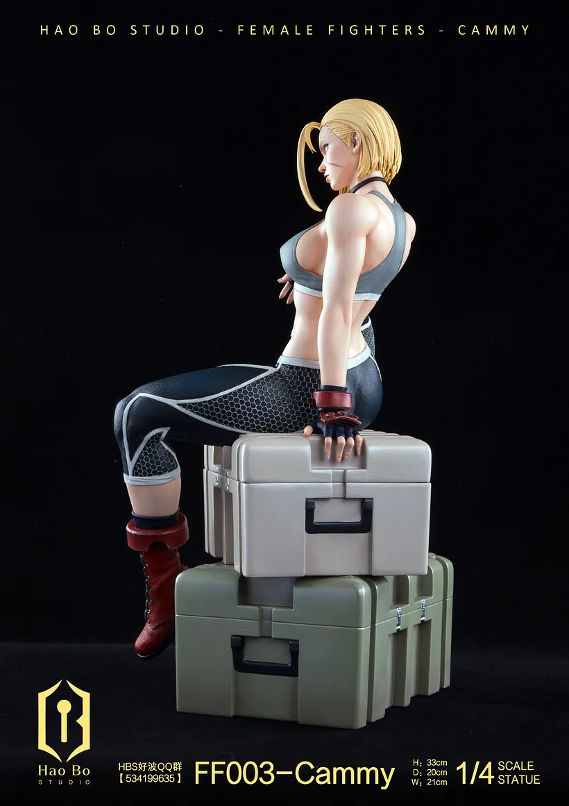 HAO BO Studio - Female Fighter Series FF003 Cammy 1/4 Statue(GK)