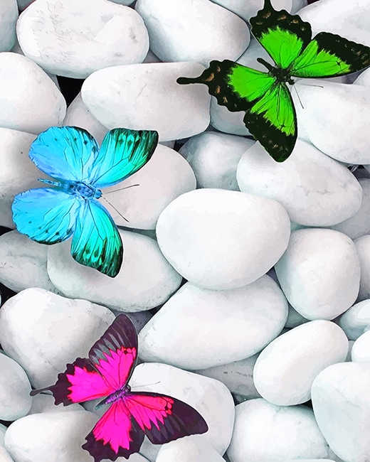 

Cute Butterflies – Paint By Numbers - 40*50CM, 501 Original
