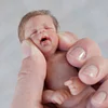 Babiesprincess Lifelike Reborn Baby Doll, Babiesprincess