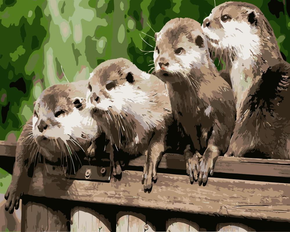 

Young Otters – Paint By Numbers - 40*50CM, 501 Original