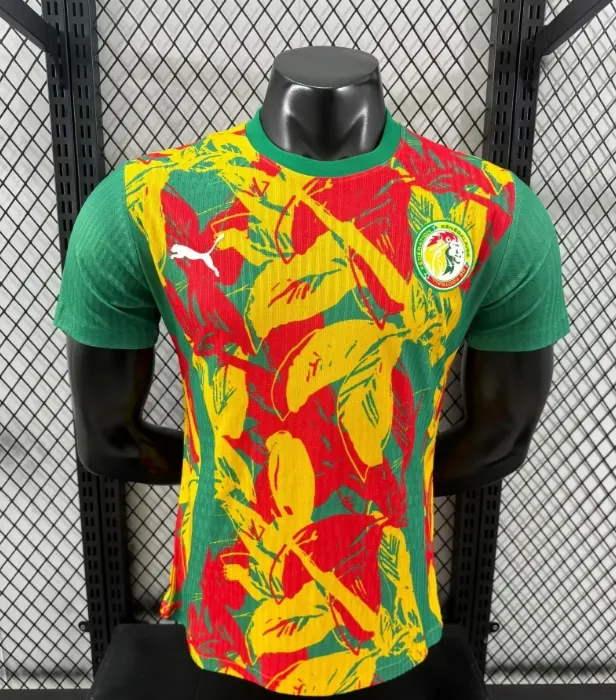 2425 New Season Senegal Special Edition Jersey