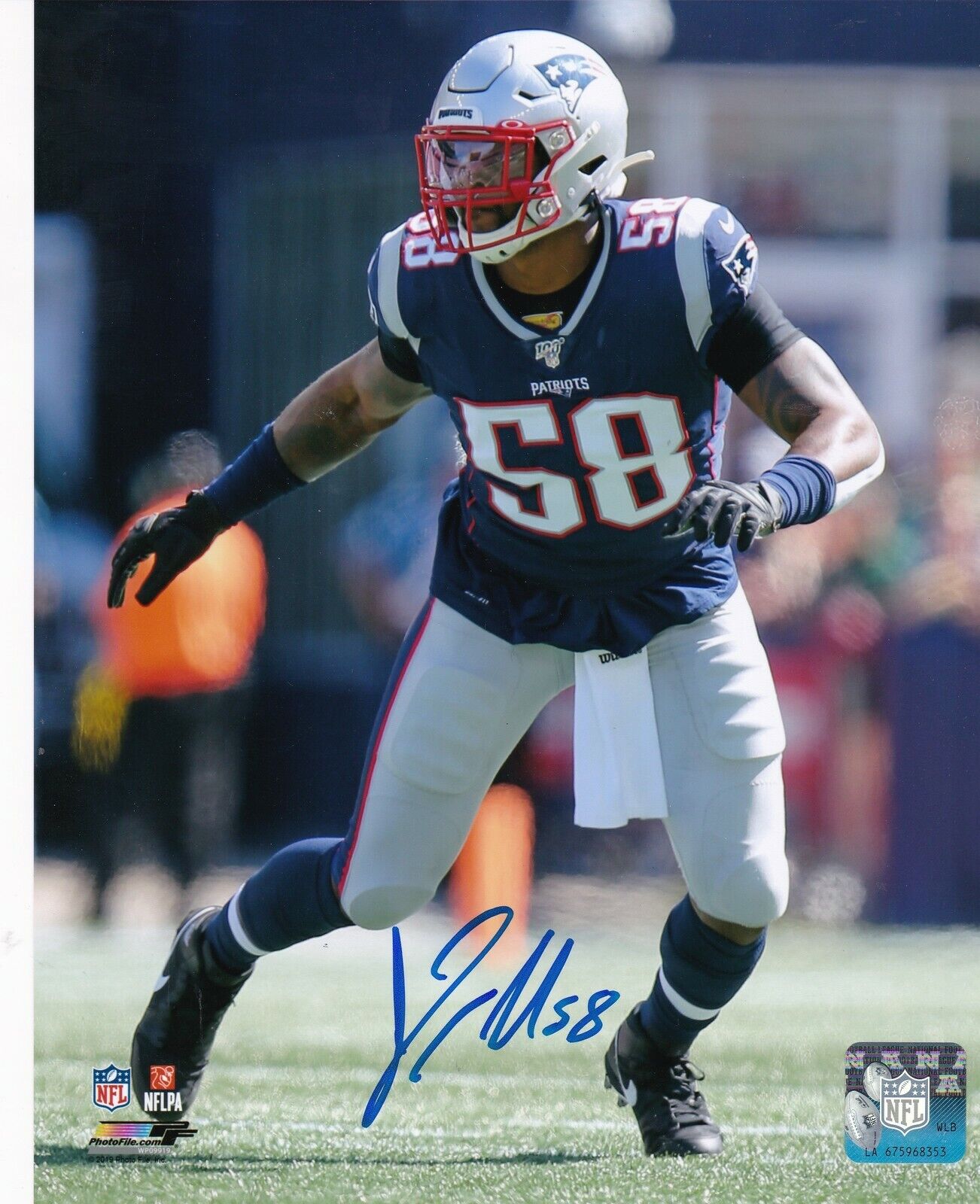 JAMIE COLLINS NEW ENGLAND PATRIOTS ACTION SIGNED 8x10