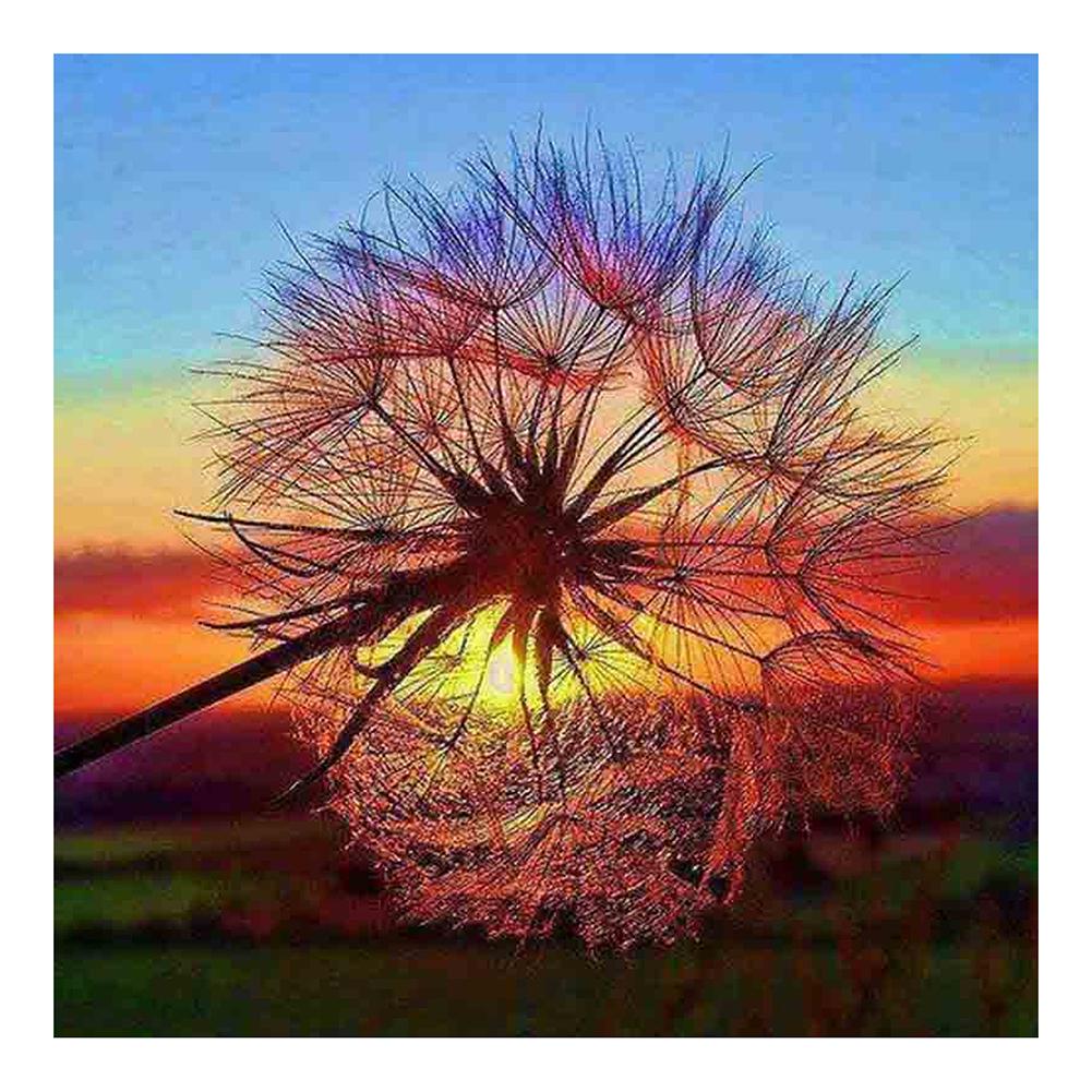 

30*30CM - Dandelion - Round Drill Diamond Painting, 501 Original