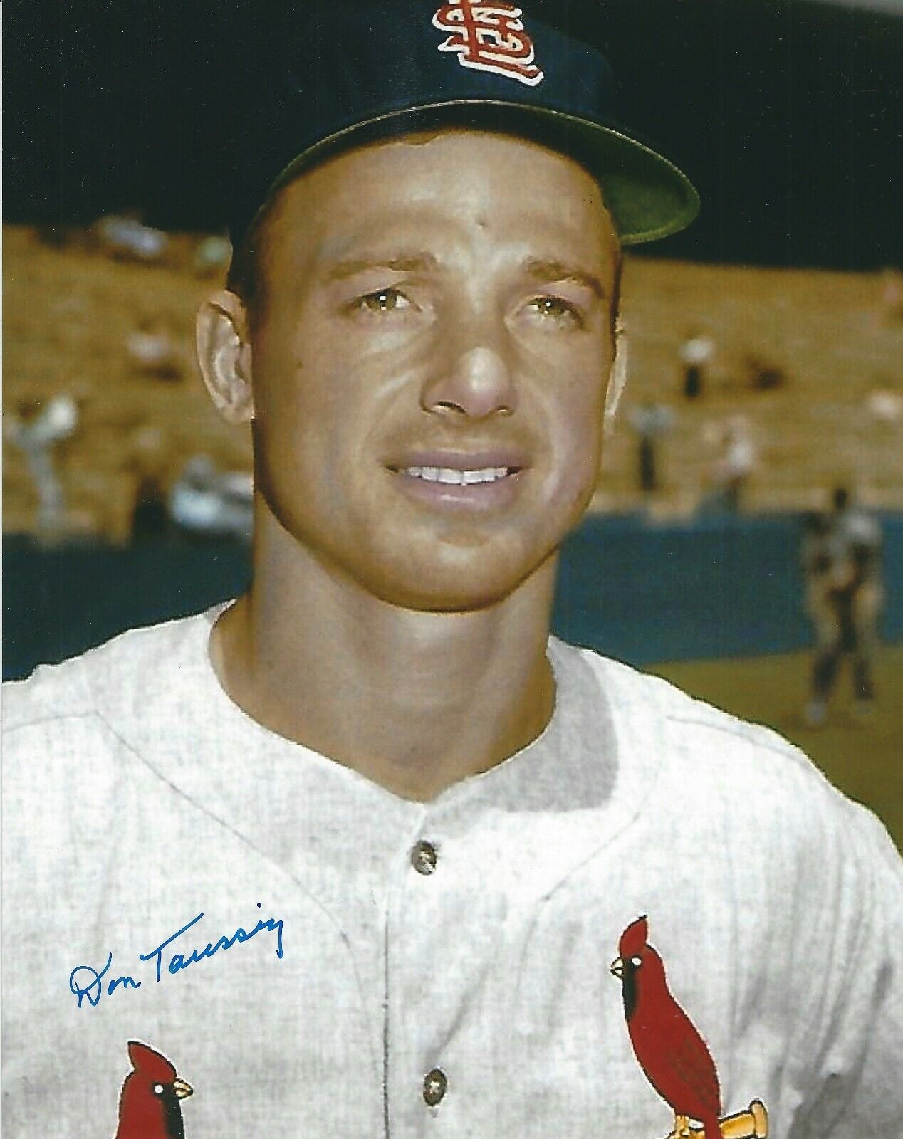 Signed 8x10 DON TAUSSIG St. Louis Cardinals Autographed Photo Poster painting - w/COA