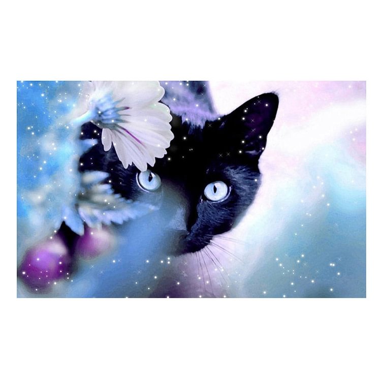 Black Cat Round Drill Diamond Painting 40X30CM(Canvas) gbfke