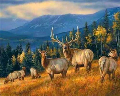 

Wild Deer Groupe – Paint By Numbers - 40*50CM, 501 Original