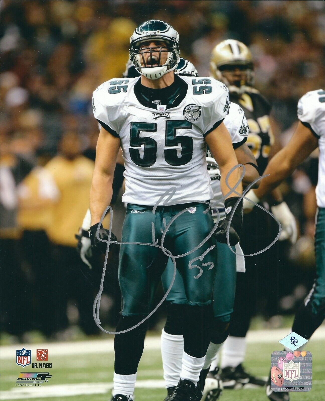 Signed 8x10 STEWART BRADLEY Philadelphia Eagles Autographed Photo Poster painting - w/COA