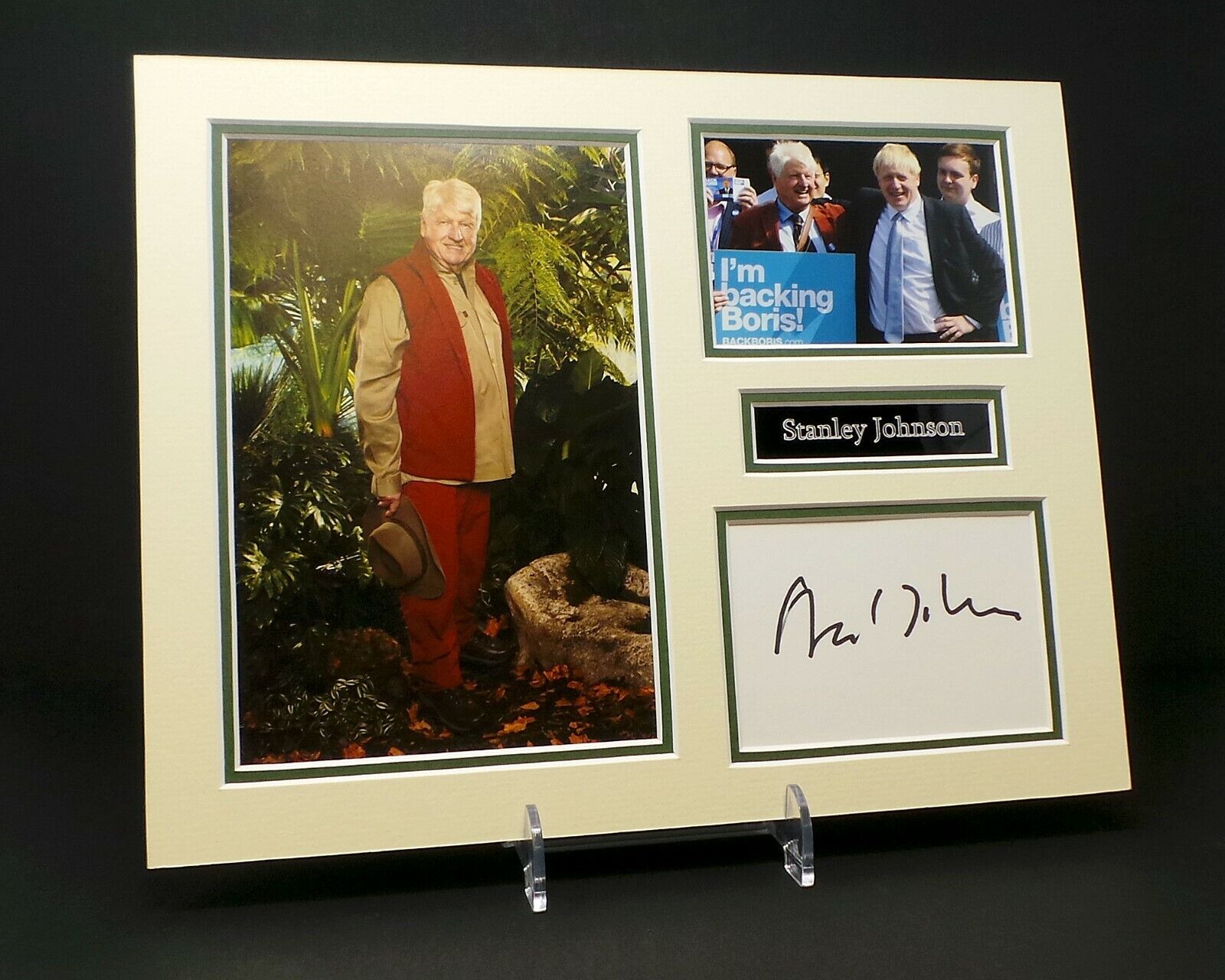 Stanley JOHNSON Signed Mounted Photo Poster painting Display AFTAL COA Writer, Former Politician