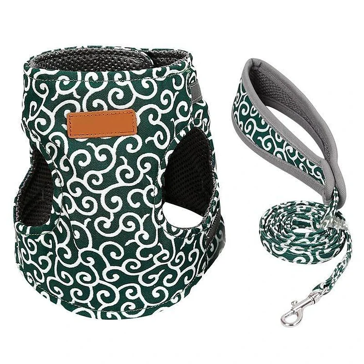 🔥Hot sale🔥-Cat Vest Harness And Leash Set To Outdoor Walking🐱