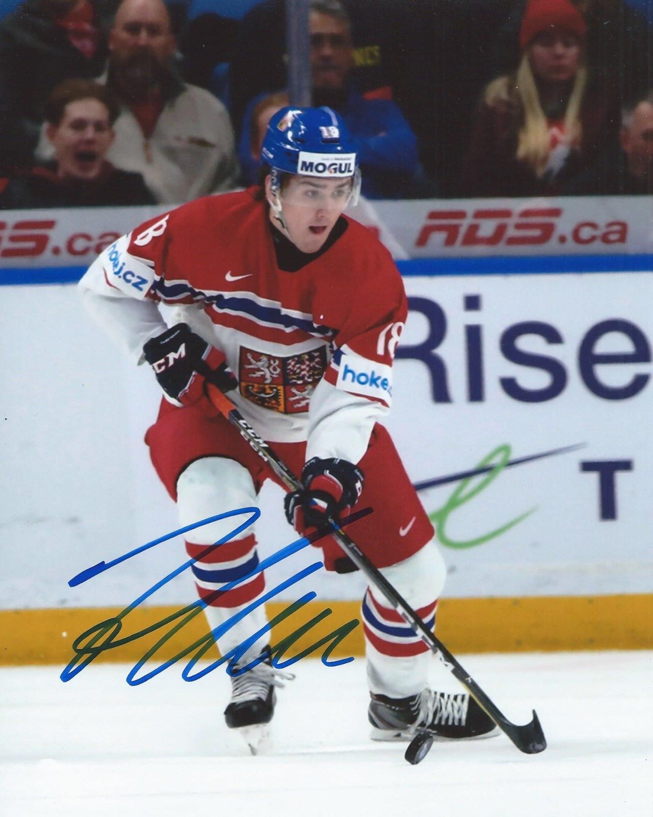 Filip Zadina Signed 8×10 Photo Poster painting Team Czech Republic World Juniors Autographed COA