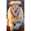 (40*70cm)Lion - Full Round Drill Diamond Painting