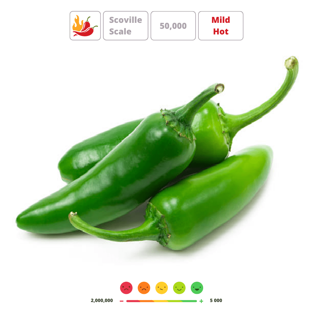 Jalape&ntilde;o Hot Chilli Pepper Seeds &ndash; Classic Medium Hot