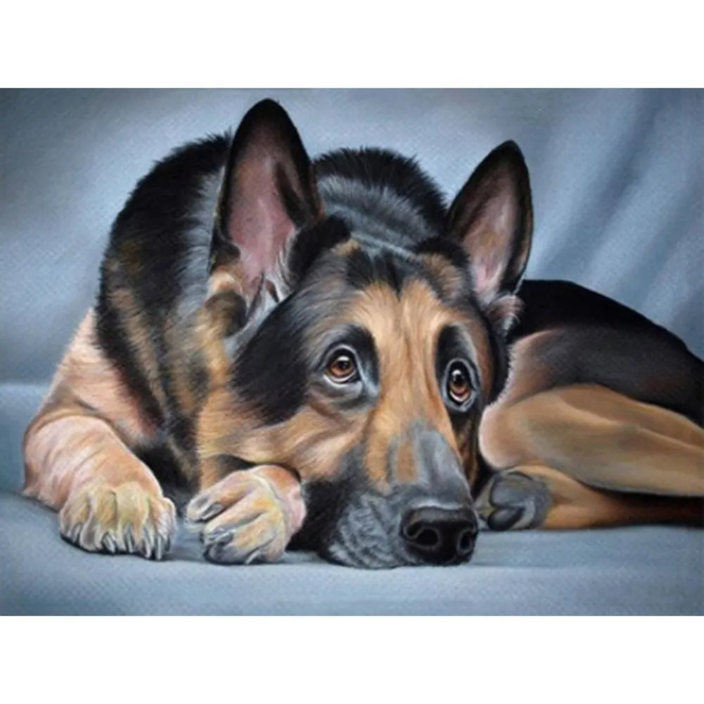Diamond Painting - Partial Round - Dog