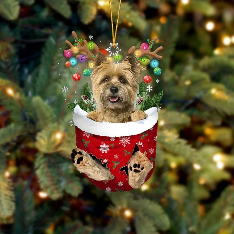 Cairn Terrier 1 In Snow Pocket Christmas Ornament trabladzer