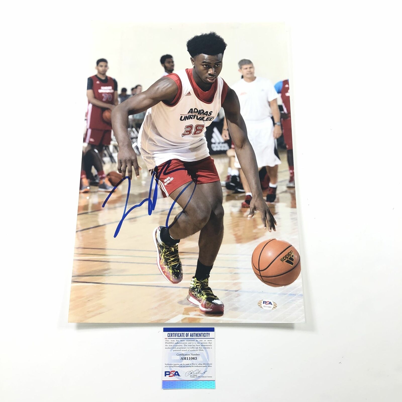 Jaylen Brown signed 12x18 Photo Poster painting PSA/DNA Boston Celtics Autographed Cal Bears