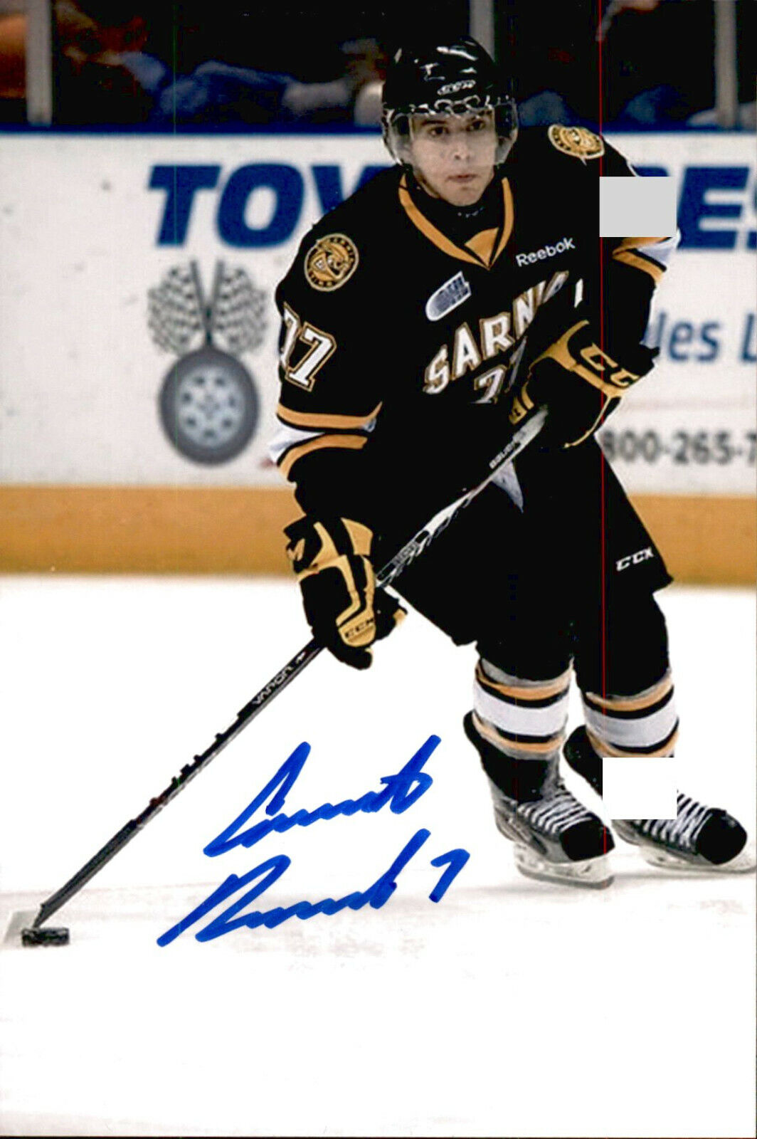 Anthony DeAngelo SIGNED 4x6 Photo Poster painting SARNIA STING / NEW YORK RANGERS #2