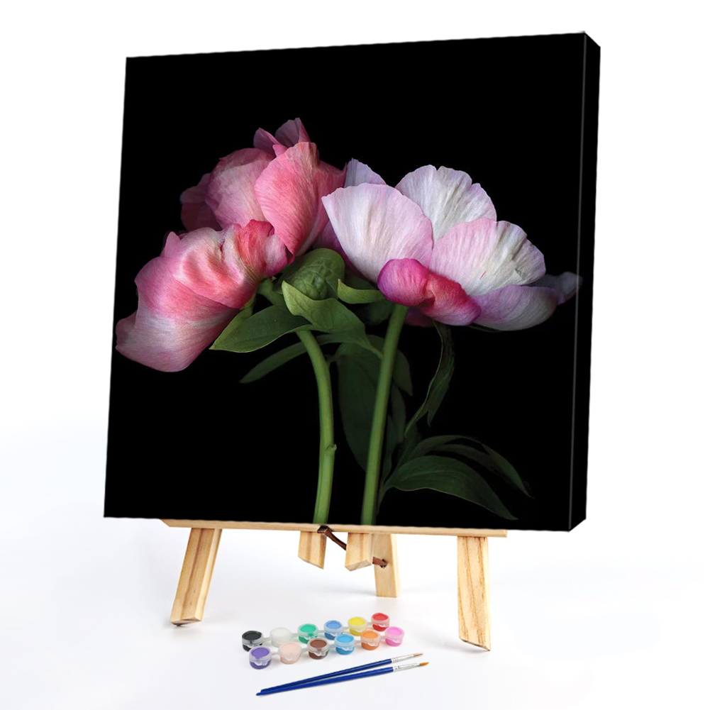 

20*20CM - Paint By Numbers - Peony, 501 Original