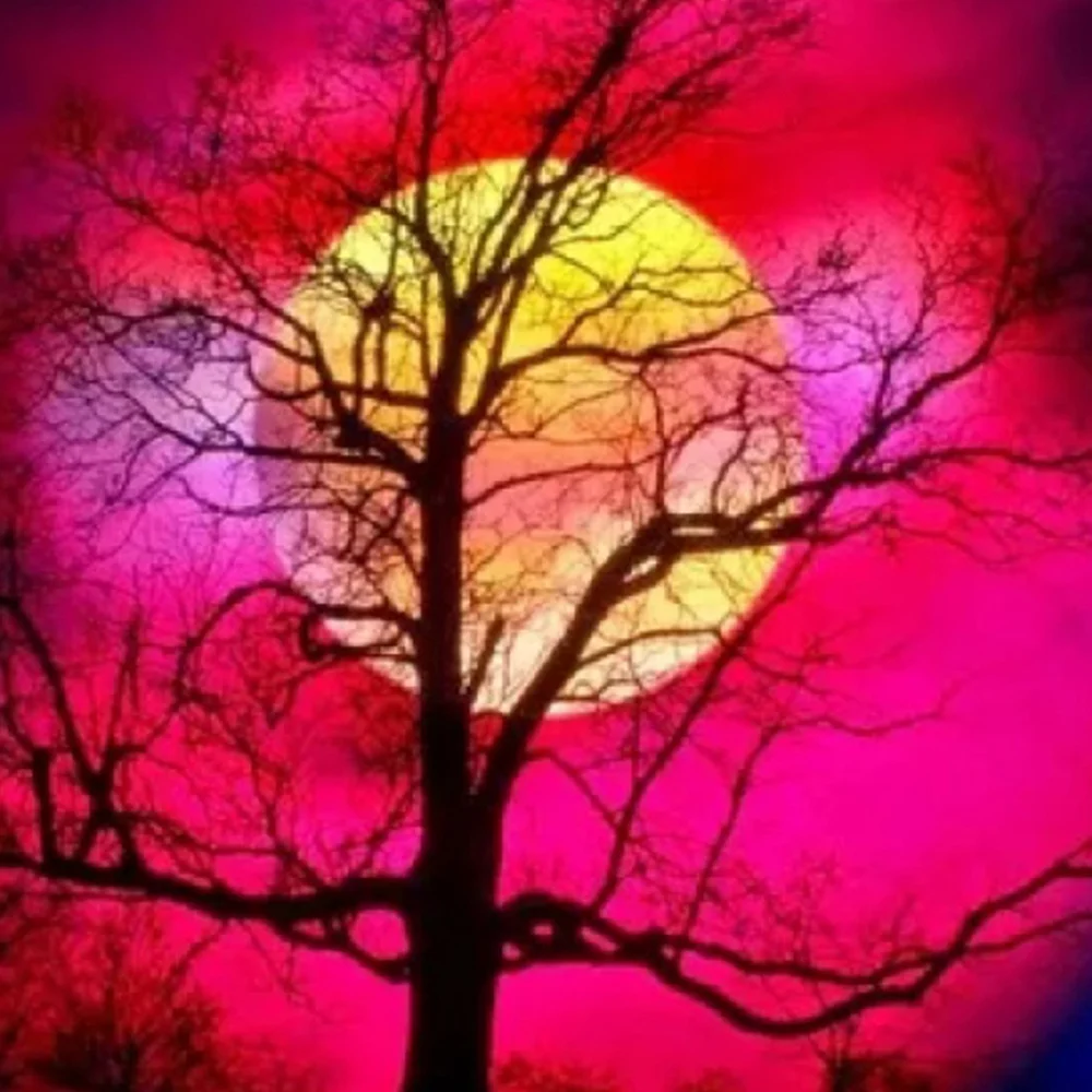 Diamond Painting - Full Round/Square Drill - Moon(30*30 - 50*50cm)