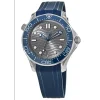 Omega 210.32.42.20.06.001 Seamaster Diver 300M Co Axial Master - New