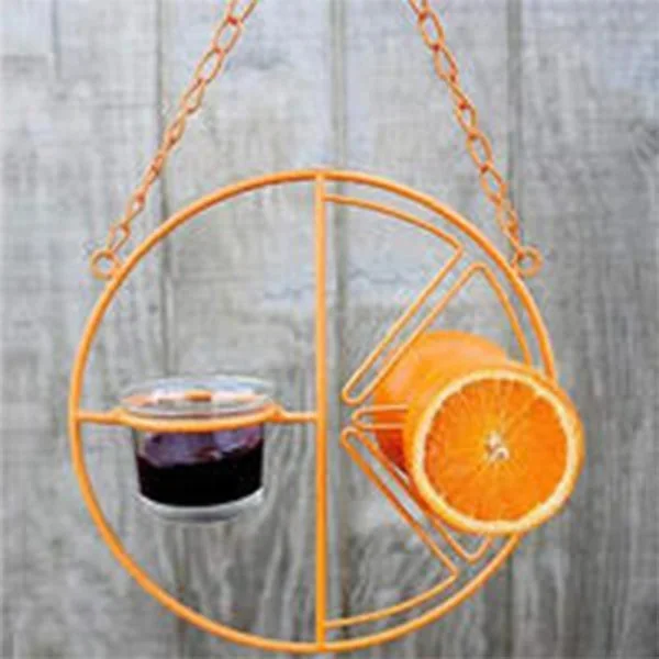 Hummingbird Feeder Fruit Berry Bird Feeder Garden Yard Decorative