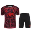 25/26 Liverpool Red Camouflage Short-Sleeve Training Kit