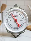 Fish Scales with 2 Hooks Mechanical Pointer Hook Scale Practical Handheld Scale