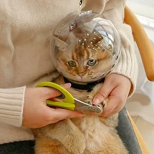 cat muzzle