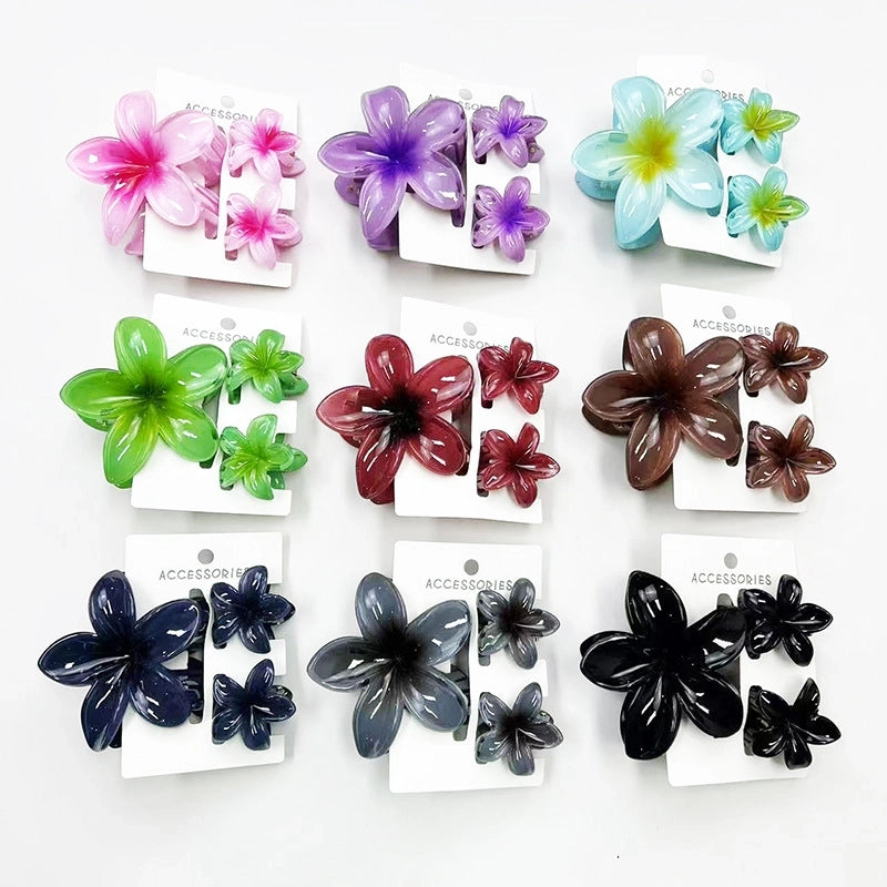 Vacation Modern Style Women’s Flower Resin Hair Claws