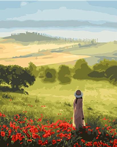 

Girl in Large Field – Paint By Numbers - 40*50CM, 501 Original