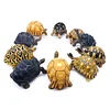 Tortoise Tortoise Model Resin Yada Angoloka Radiated Tortoise Ornaments Landscaping