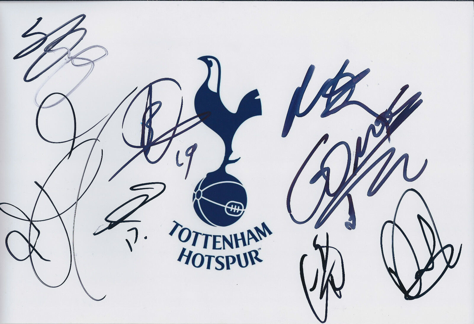 Tottenham Hotspurs Squad SIGNED Autograph 12x8 COA Photo Poster painting AFTAL SPURS Genuine