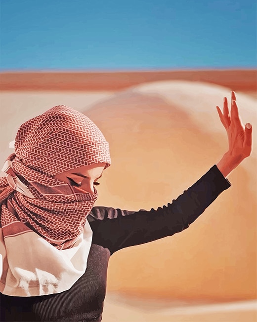 

Arabian Woman Enjoying The Desert – Paint By Numbers - 40*50CM, 501 Original
