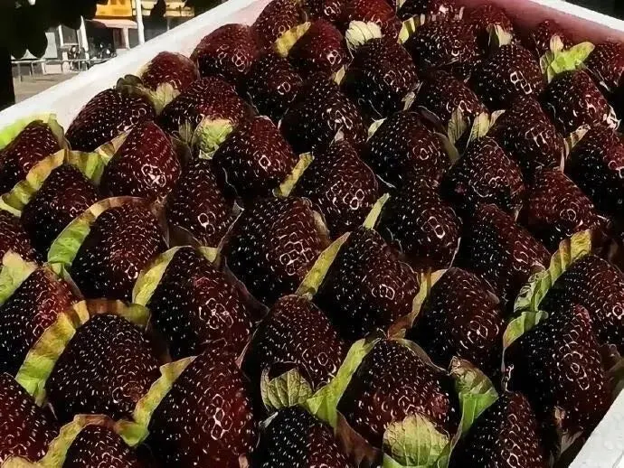Black Diamond Strawberry image 3