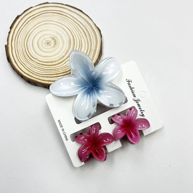 Vacation Modern Style Women’s Flower Resin Hair Claws