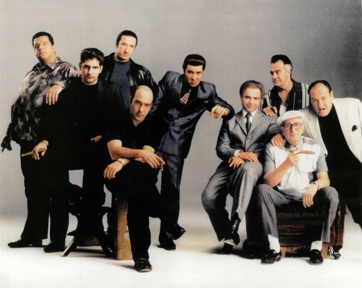 Sopranos Unsigned 8x10 Photo Poster painting