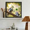 Diamond Painting-DIY Full Round Drill Parrot Cat(40*40 CM)