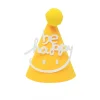50PCS Cute HAPPY BIRTHDAY Kids Baby Party Photography Decor Hats