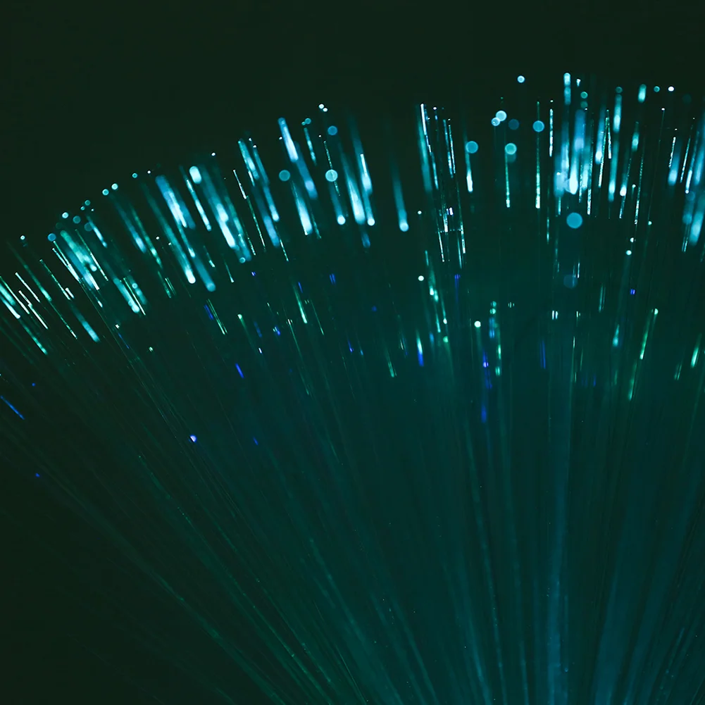 Colorful LED Optic Fiber Light Festival Party Decor Atmosphere Night Lamp