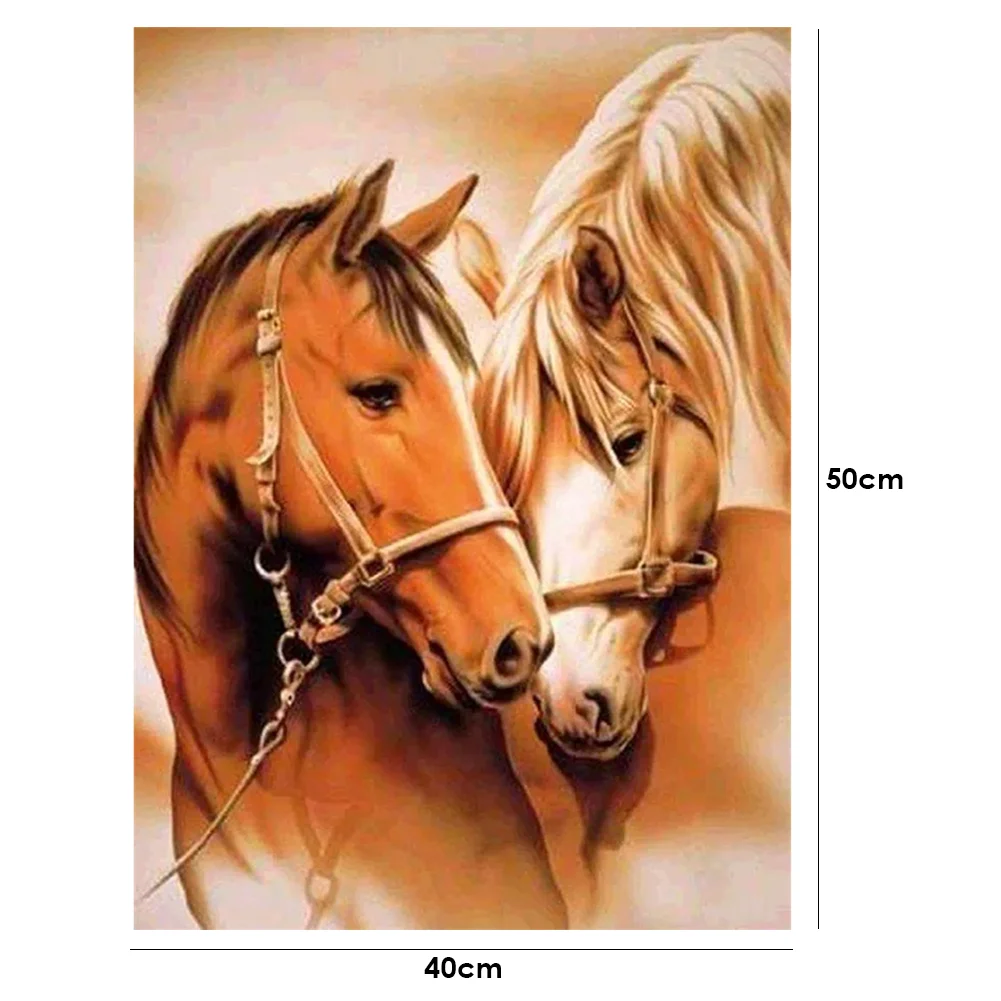 Horse - Paint By Number(40*50cm)